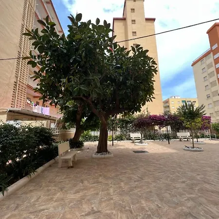 Apartment Ap Cande